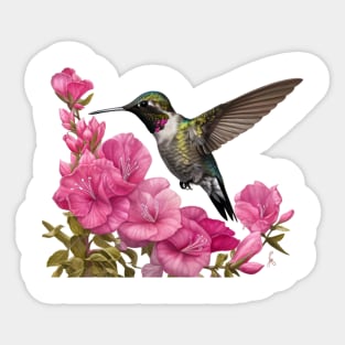 Hummingbird on Pink Flowers Sticker